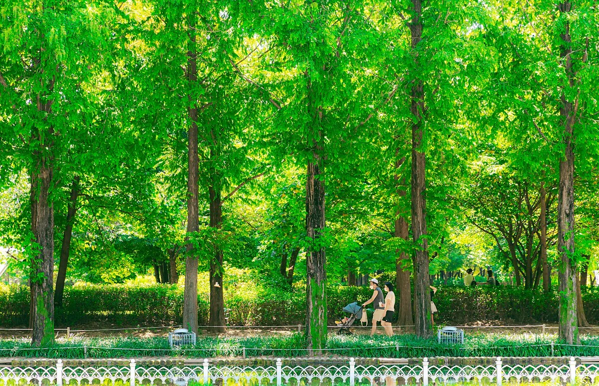 d_%EC%84%9C%EC%9A%B8%EC%88%B2_2.jpg?type=w1200