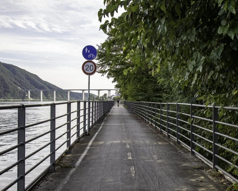 %EB%8F%84%EB%B9%84%EB%9D%BC-0C1A4362.jpg?type=w1200