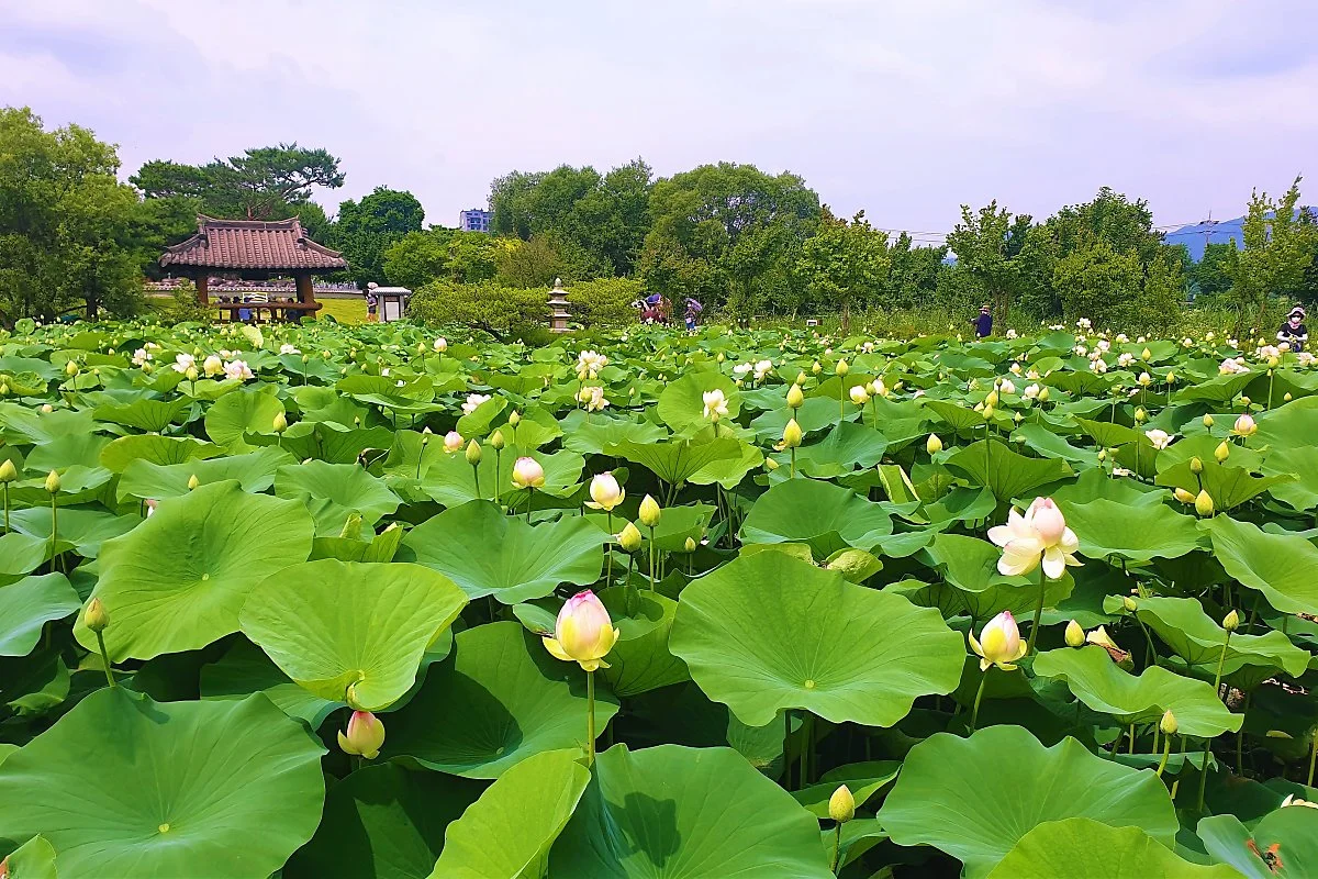 01%EB%91%90%EB%AC%BC%EB%A8%B8%EB%A6%AC_%284%29_%EC%97%AC%EB%A6%84_%EC%84%B8%EC%8B%AC%EC%9B%90.jpg?type=w1200