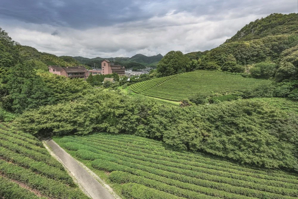 %EA%B2%8C%EC%9D%B4%EC%8A%88%EC%97%94_%285%29.jpg?type=w1200