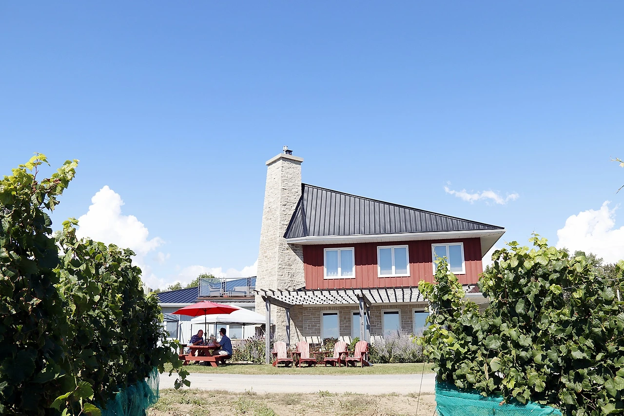 8-1.Keint-He Winery.JPG