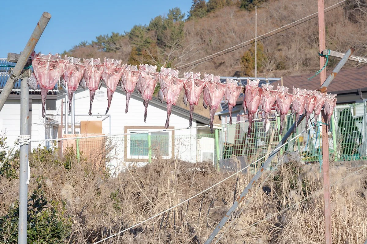 %EB%AC%BC%EB%A9%94%EA%B8%B0.jpg?type=w1200