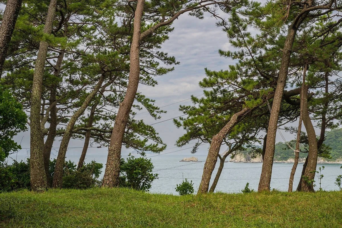 %EC%99%B8%ED%95%AD%EB%A7%88%EC%9D%84_%282%29.jpg?type=w1200