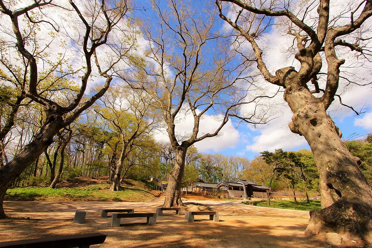 02%ED%8C%8C%EC%A3%BC%EC%9E%A5%EB%A6%89_%282%29.JPG?type=w1200