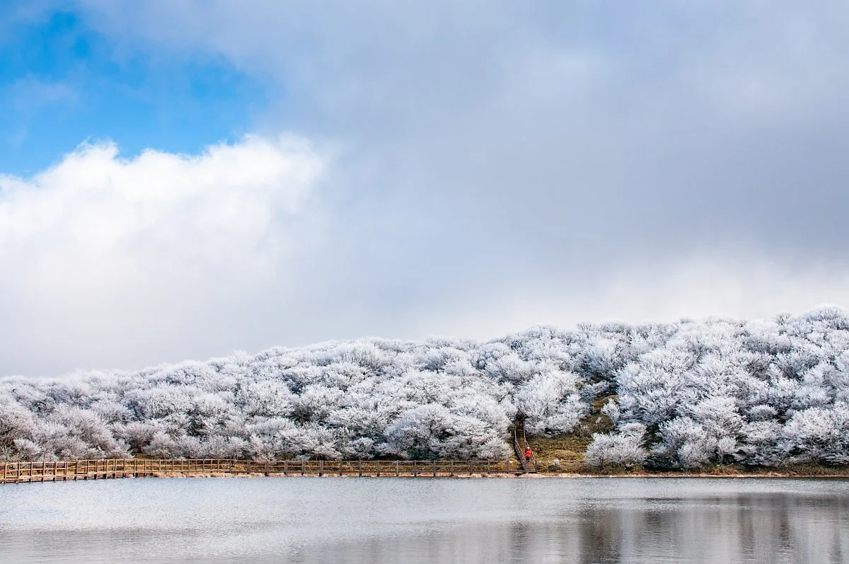 %EA%B2%A8%EC%9A%B8%EC%99%95%EA%B5%AD_001.jpg?type=w1200