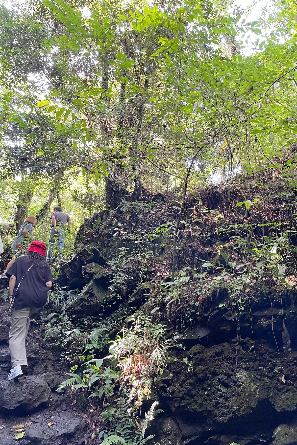 %ED%99%98%EC%83%81%EC%88%B2_%2811%29.JPG?type=w1200