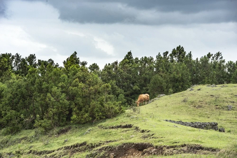 %ED%81%AC%EA%B8%B0%EB%B3%80%ED%99%98%EC%86%90%EC%A7%80%EC%98%A4%EB%A6%84_%281%29.jpg?type=w1200