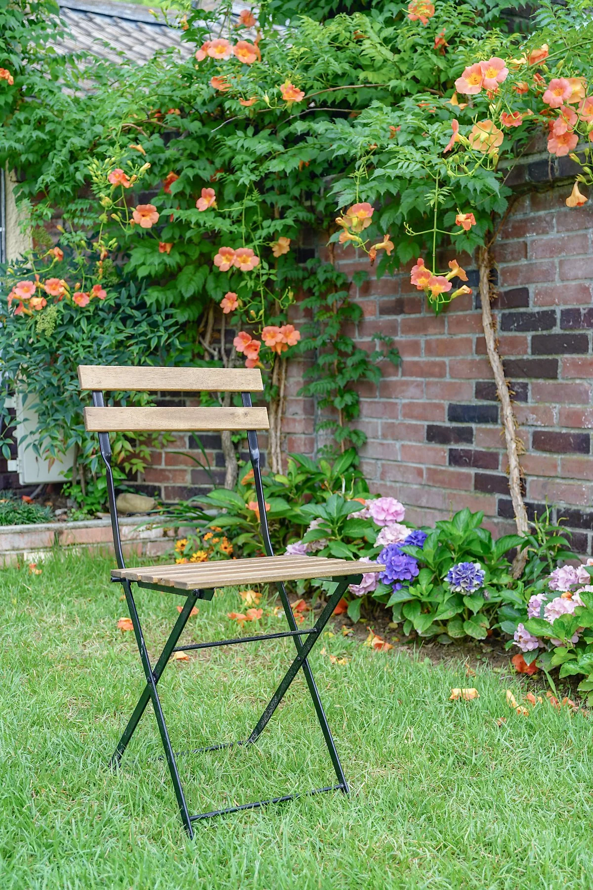 3917%EB%A7%88%EC%A4%91_%EA%BD%83%EB%A7%88%EC%A4%91.JPG?type=w1200