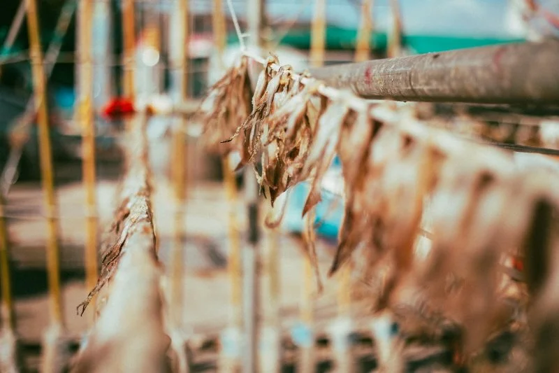 %EC%9E%A5%ED%98%B8%ED%95%AD_%286%29.jpg?type=w1200&type=w1200