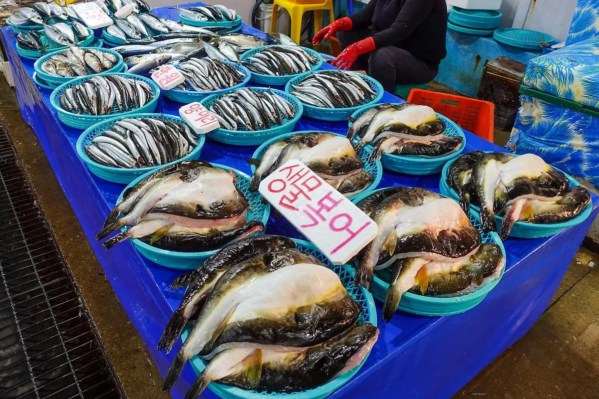 %EC%A2%8C%ED%8C%90_%ED%92%8D%EB%AC%BC%EC%8B%9C%EC%9E%A5_%284%29.jpg?type=w1200