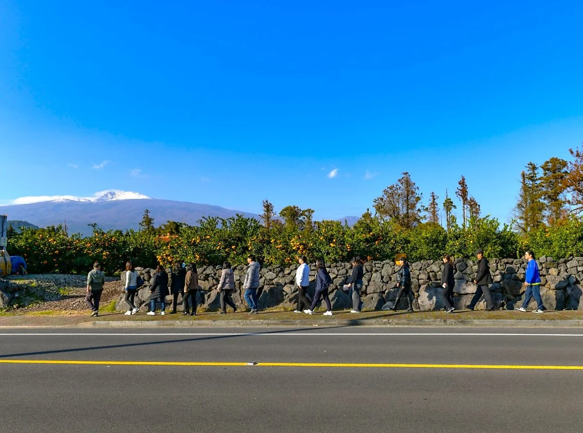 %ED%95%98%EB%A1%80%EB%A7%88%EC%9D%84_%EA%B1%B7%EA%B8%B0_.jpg?type=w1200