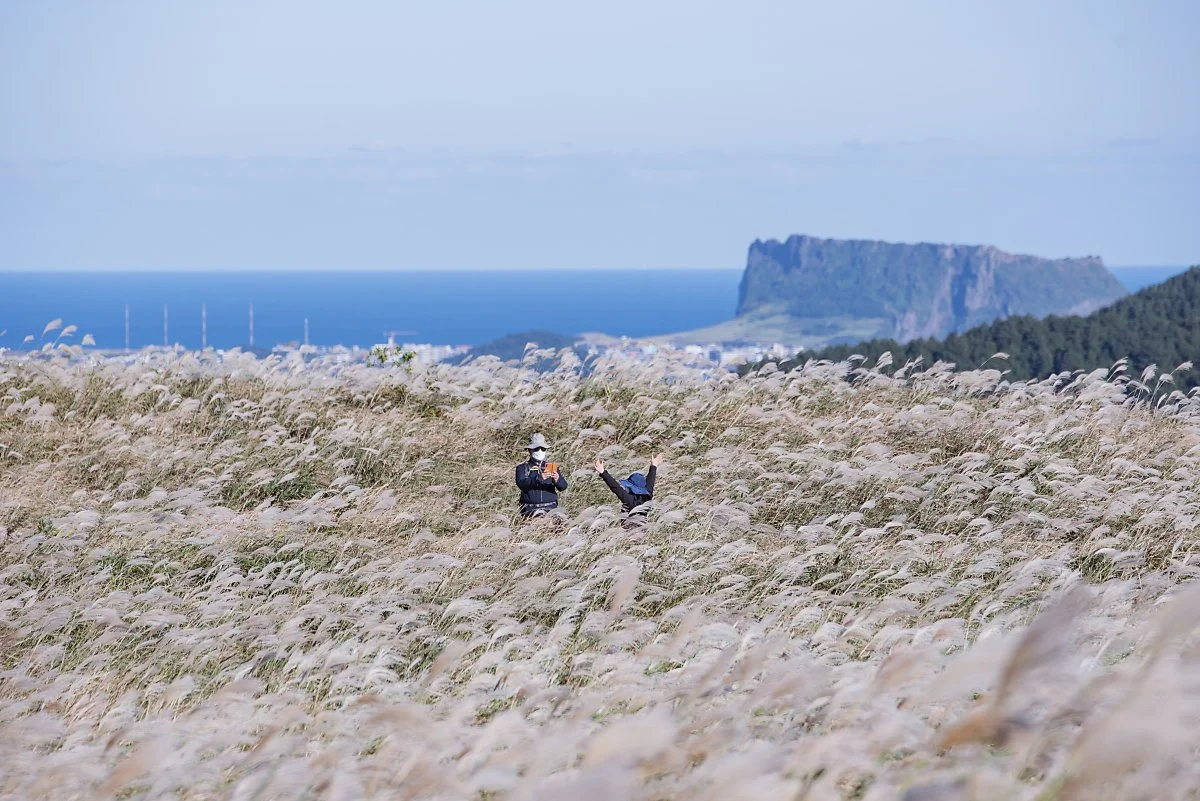 %EC%95%84%EB%81%88%EB%8B%A4%EB%9E%91%EC%89%AC_001.jpg?type=w1200