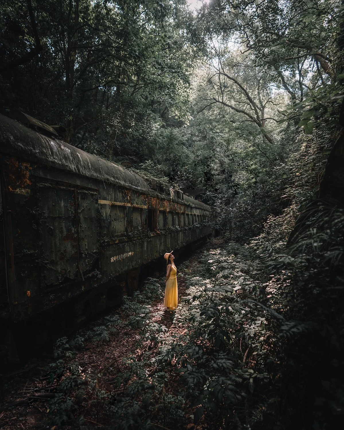 DSC08610-Edit.jpg?type=w1200