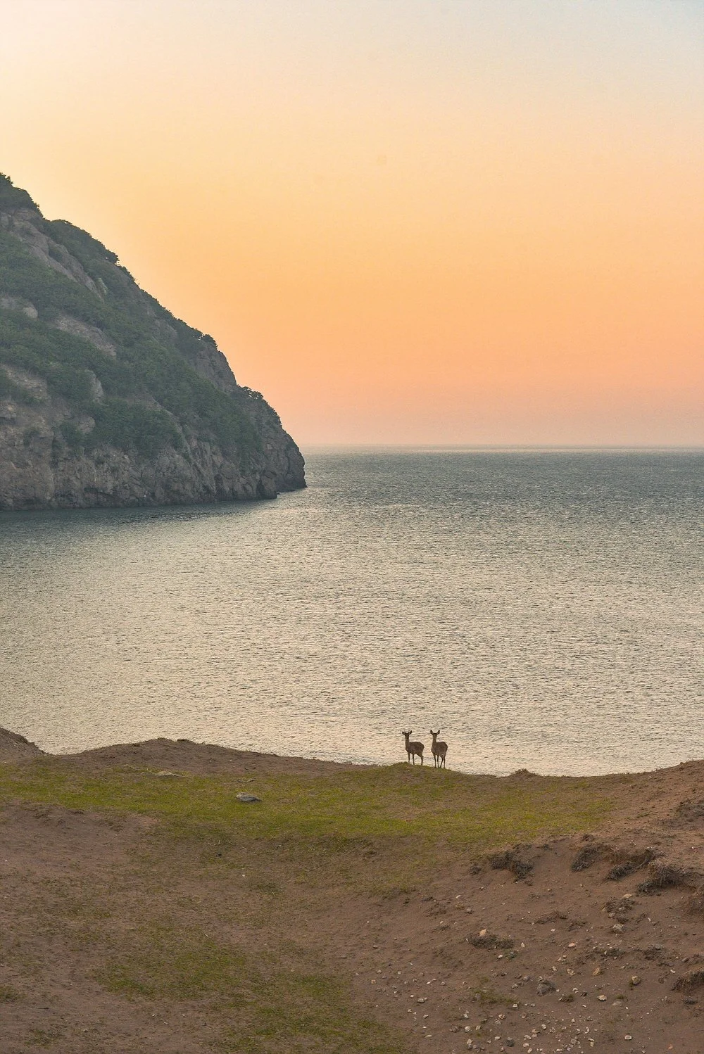 %EC%82%AC%EC%8A%B4_%282%29.jpg?type=w1200