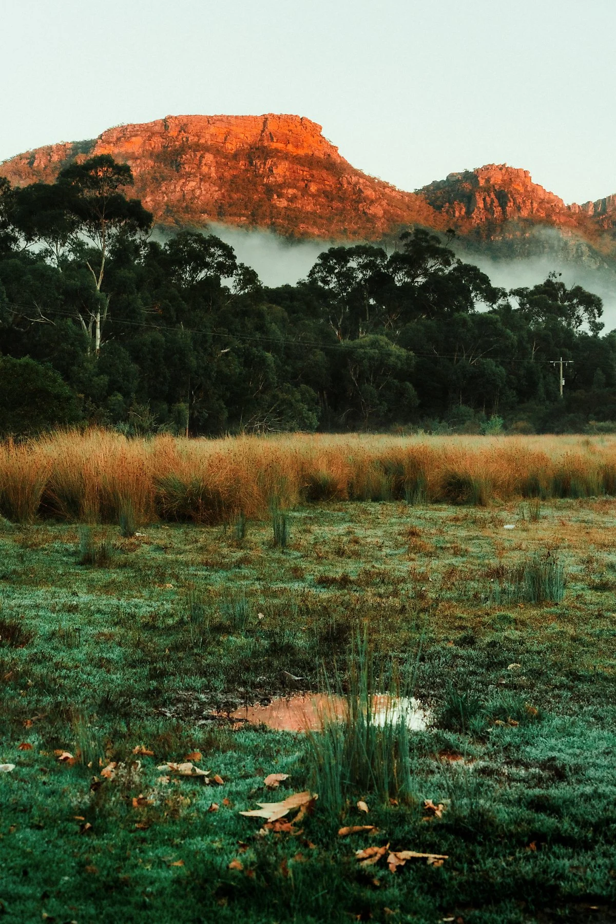 %EA%B7%B8%EB%9E%A8%ED%94%BC%EC%96%B8%EC%8A%A4_%EA%B5%AD%EB%A6%BD%EA%B3%B5%EC%9B%90_%286%29.jpg?type=w1200