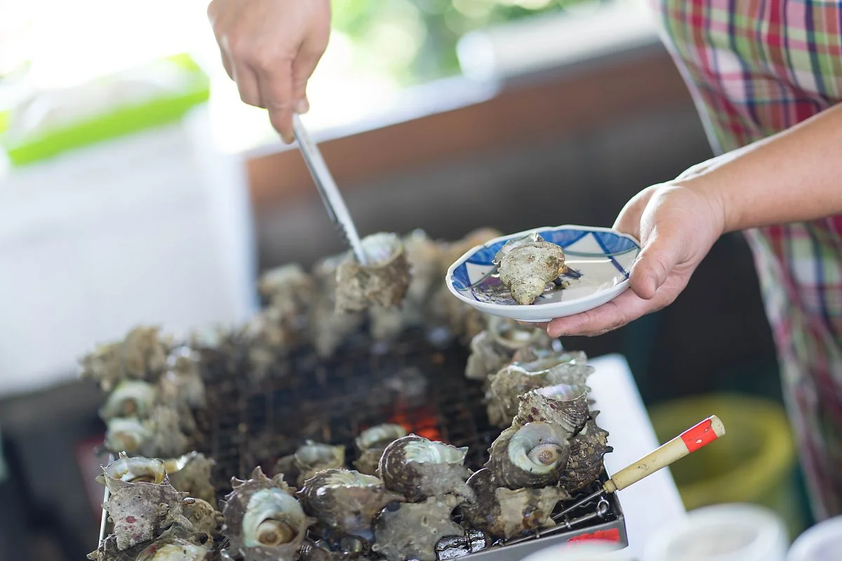 %EA%B0%80%EB%9D%BC%EC%93%B0_%EA%B0%80%EB%9D%BC%EC%93%B0%EC%98%AC%EB%A0%88_%EC%A0%95%ED%98%9C%EC%A7%84_%285%29.jpg?type=w1200