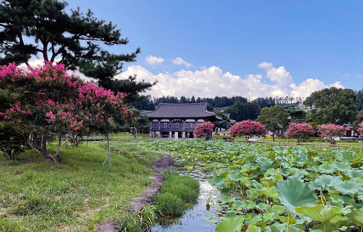 %EB%B2%95%ED%99%94%EC%82%AC_%285%29.JPG?type=w1200