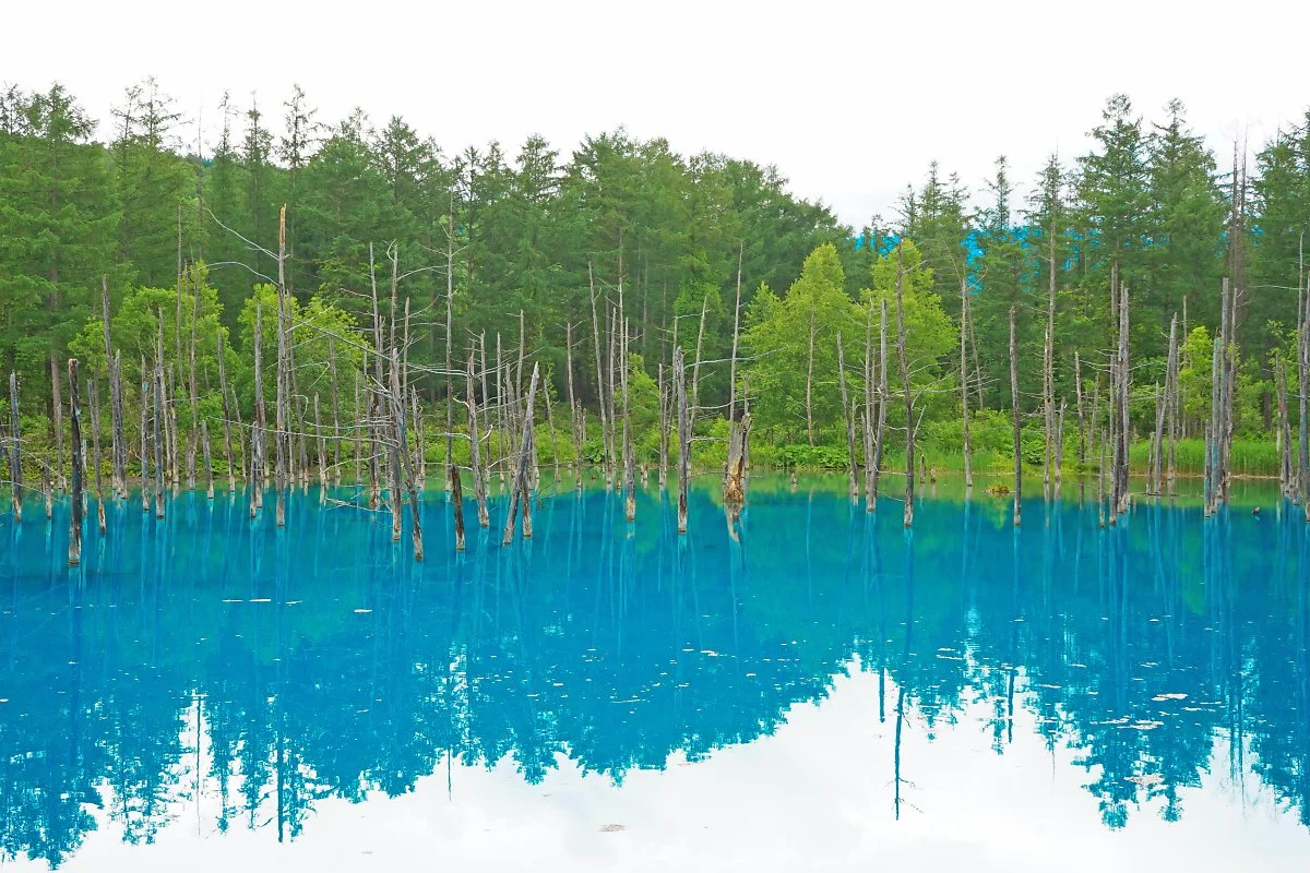 004_%EC%95%84%EC%98%A4%EC%9D%B4%EC%9D%B4%EC%BC%802.jpg?type=w1200