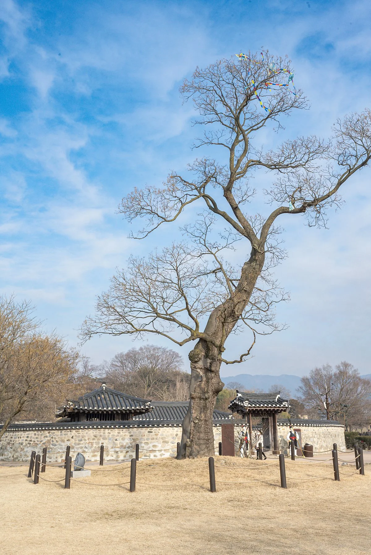 %ED%95%B4%EB%AF%B8%EC%9D%8D%EC%84%B1_%EC%98%A5%EC%82%AC%EC%99%80_%ED%9A%8C%ED%99%94%EB%82%98%EB%AC%B4_%284%29.jpg?type=w1200