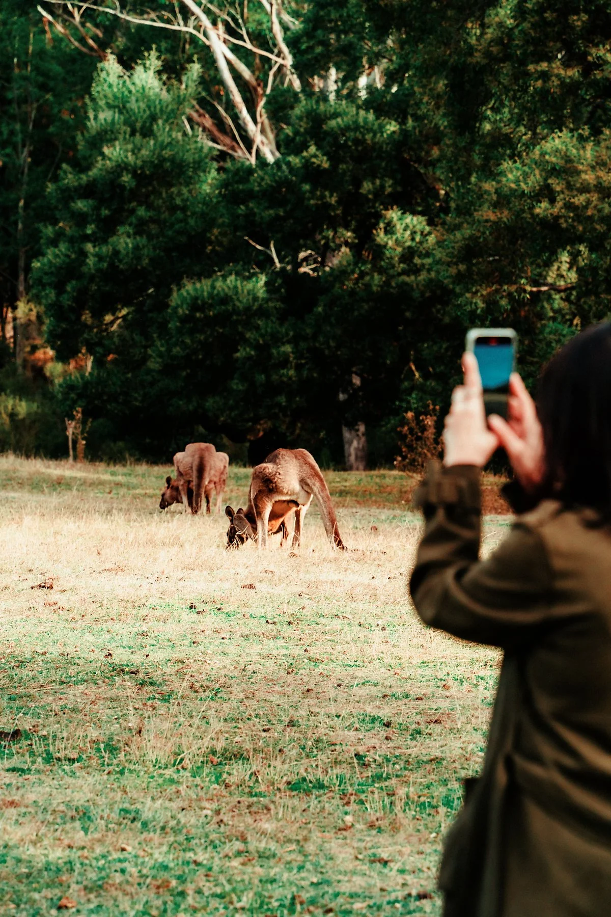 %EC%BA%A5%EA%B1%B0%EB%A3%A8_%EC%84%9C%EC%8B%9D%EC%A7%80_%287%29.jpg?type=w1200