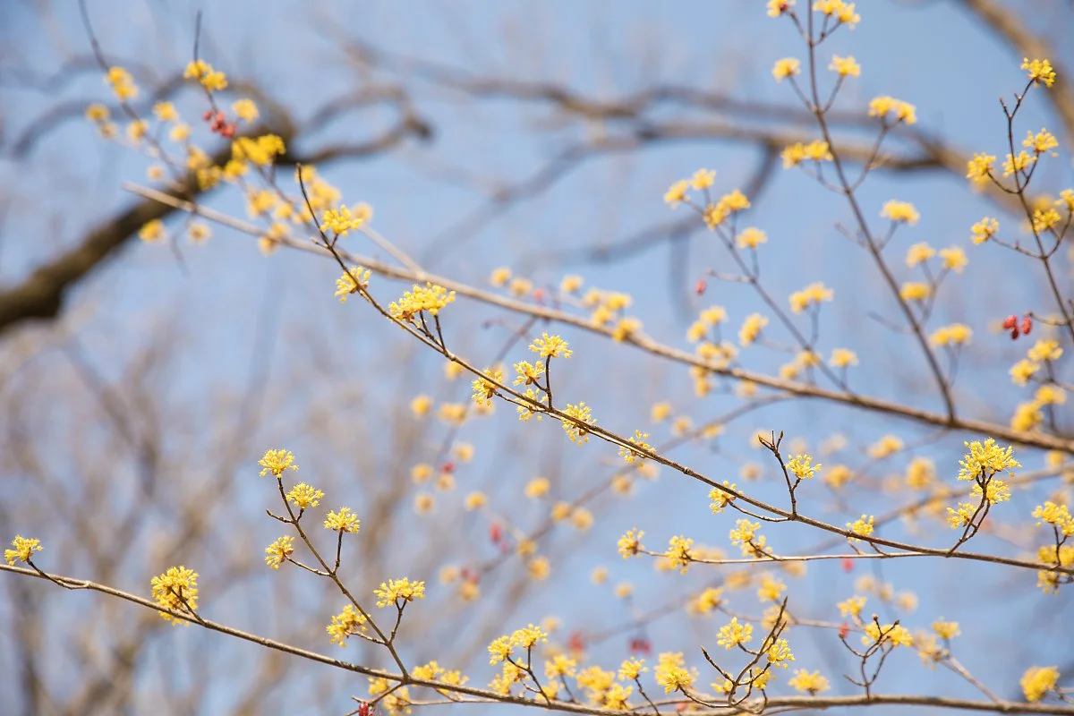 %EC%98%A5%EC%82%B0%EC%84%9C%EC%9B%90%2810%29.jpg?type=w1200