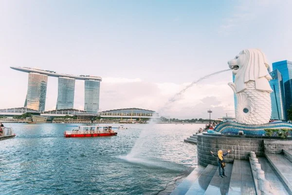 %EB%A8%B8%EB%9D%BC%EC%9D%B4%EC%96%B8%ED%8C%8C%ED%81%AC.jpg?type=w1200