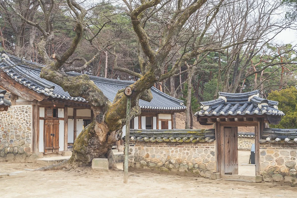 %EC%98%81%EB%85%95%EB%A6%89_%ED%9A%A8%EC%A2%85%EB%8C%80%EC%99%95%EB%A6%89%EC%9E%AC%EC%8B%A4_00001.jpg?type=w1200