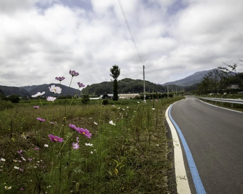 0C1A4283.jpg?type=w1200