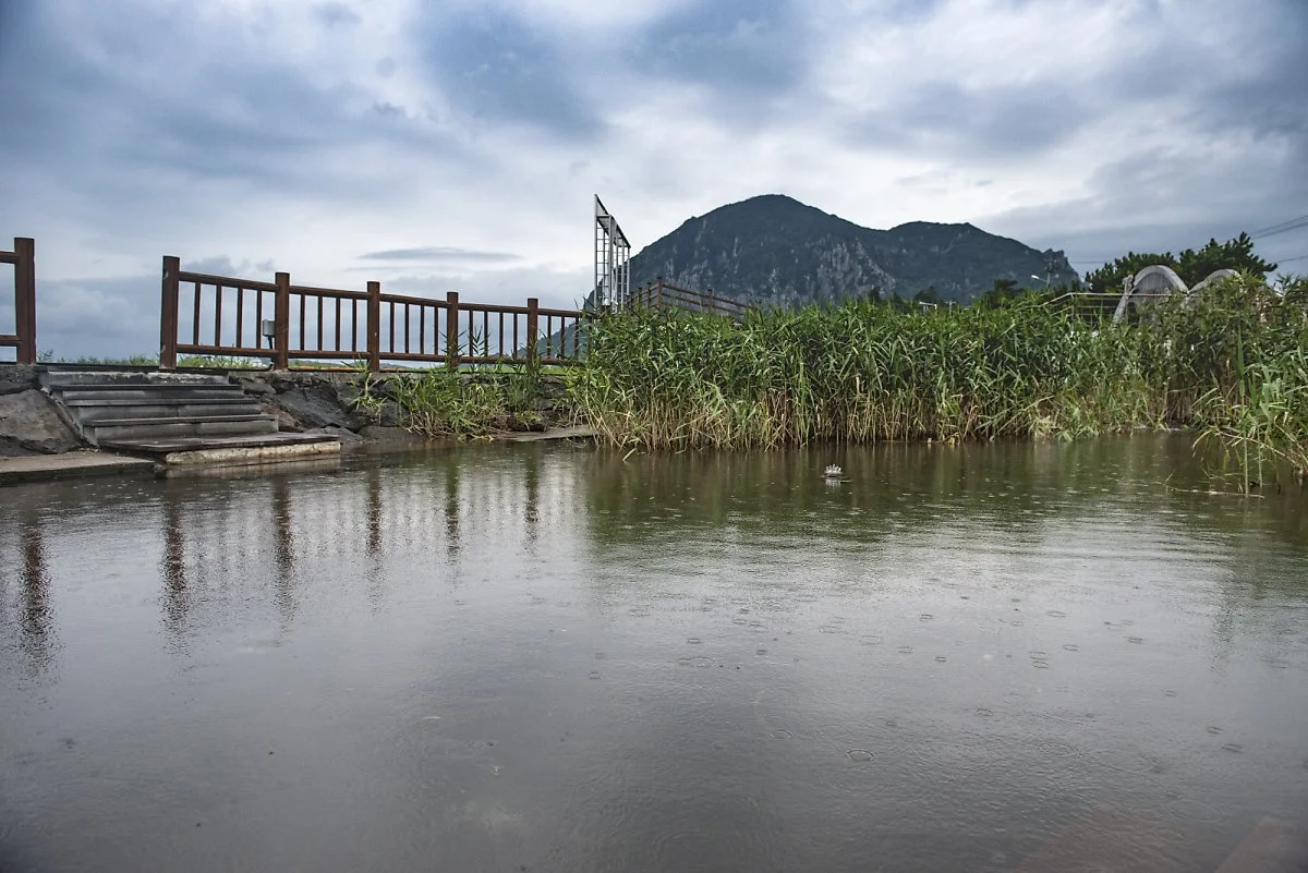 %ED%99%94%EC%88%9C%EB%A6%AC%EA%B8%88%EB%AA%A8%EB%9E%98%EC%BA%A0%ED%95%91%EC%9E%A5_%289%29.jpg?type=w1200