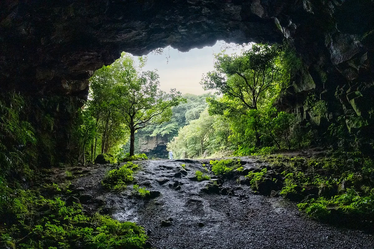 %EB%85%B9%EC%B0%A8%EB%8F%99%EA%B5%B4_%282%29.jpg?type=w1200