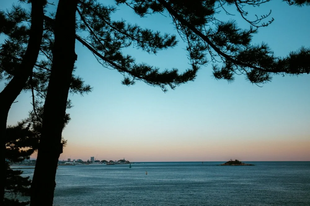 %EC%99%B8%EC%98%B9%EC%B9%98%EB%B0%94%EB%8B%A4%ED%96%A5%EA%B8%B0%EB%A1%9C_%283%29.JPG?type=w1200