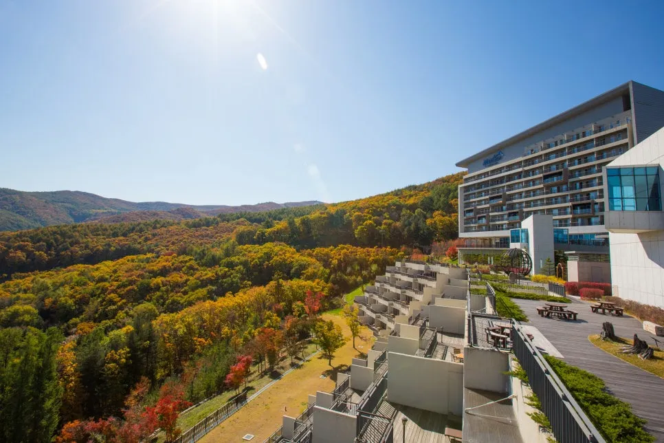 %ED%95%98%EC%9D%B4%EC%9B%90_%EC%A0%84%EA%B2%BD.jpg?type=w966