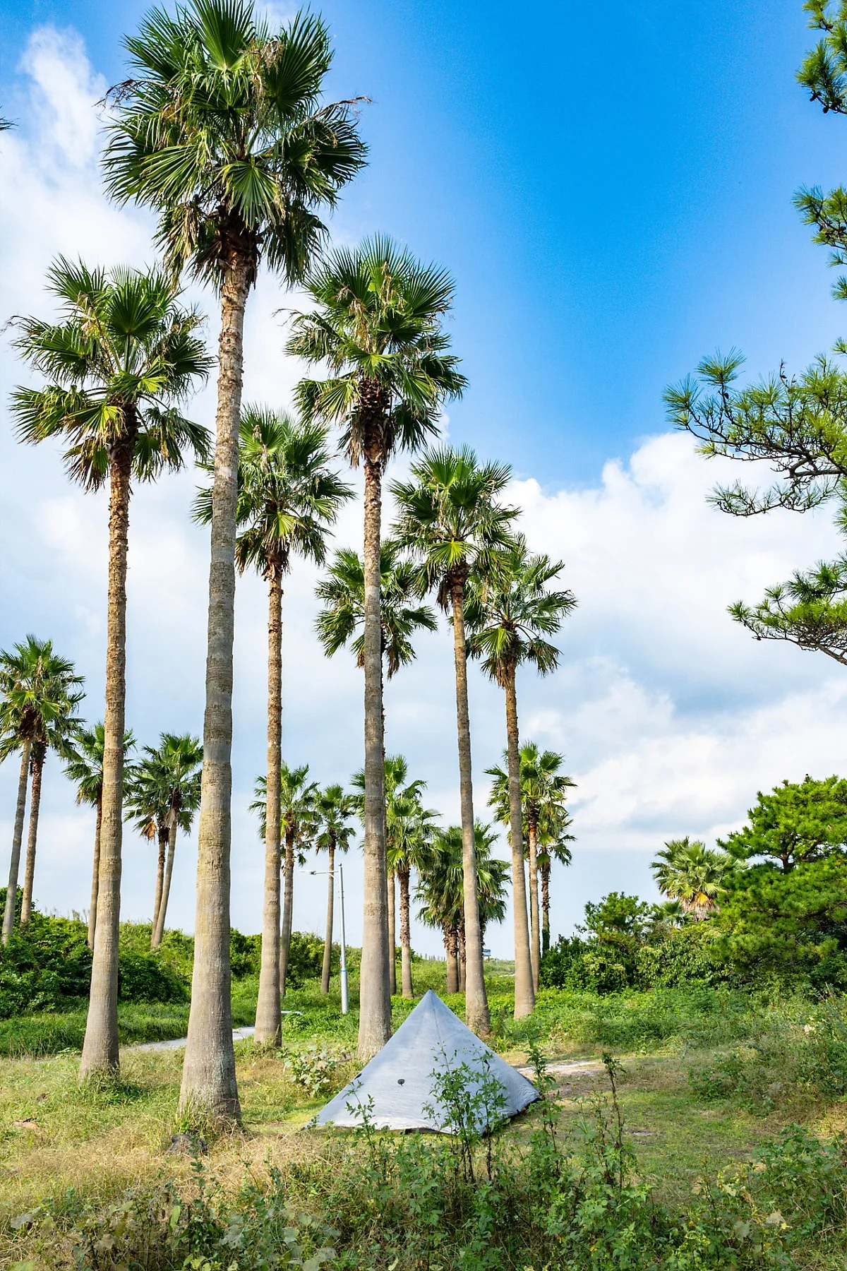 %EC%A0%9C%EC%A3%BC_%EA%B8%88%EB%8A%A5%ED%95%B4%EB%B3%80_%282%29%EC%95%BC%EC%98%81%EC%9E%A5.jpg?type=w1200