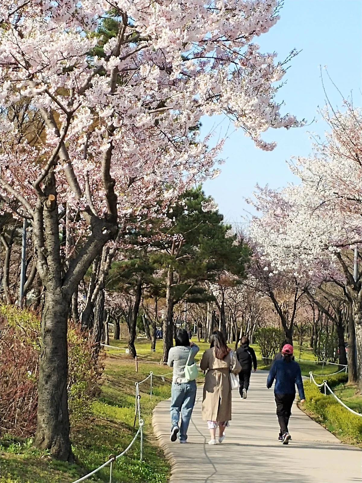 03%EC%83%81%EB%8F%99%ED%98%B8%EC%88%98%EA%B3%B5%EC%9B%90_%283%29.jpg?type=w1200