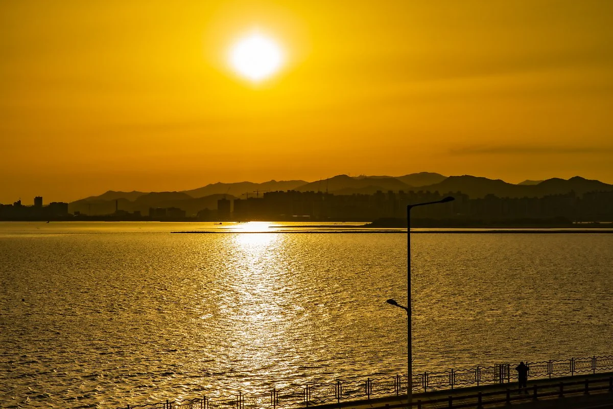 %EC%9E%A5%EB%A6%BC%ED%8F%AC%EA%B5%AC%282%29.jpg?type=w1200