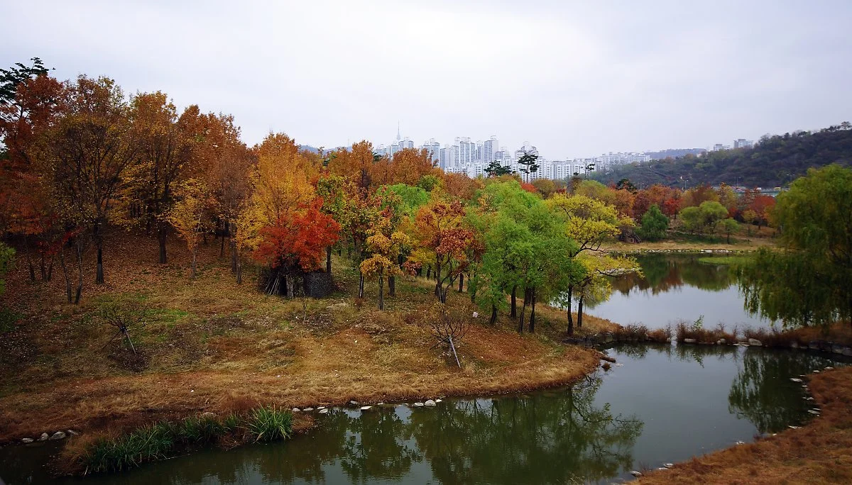 %EC%97%B0%EB%AA%BB%EA%B3%BC_%EC%88%B2%EC%9D%B4_%EC%9E%88%EB%8A%94_%EC%9D%B4%EA%B3%B3%EC%97%90_%EC%82%AC%EC%8A%B4%EA%B3%BC_%EA%B3%A0%EB%9D%BC%EB%8B%88%EA%B0%80_%EC%82%B0%EB%8B%A4.JPG?type=w1200