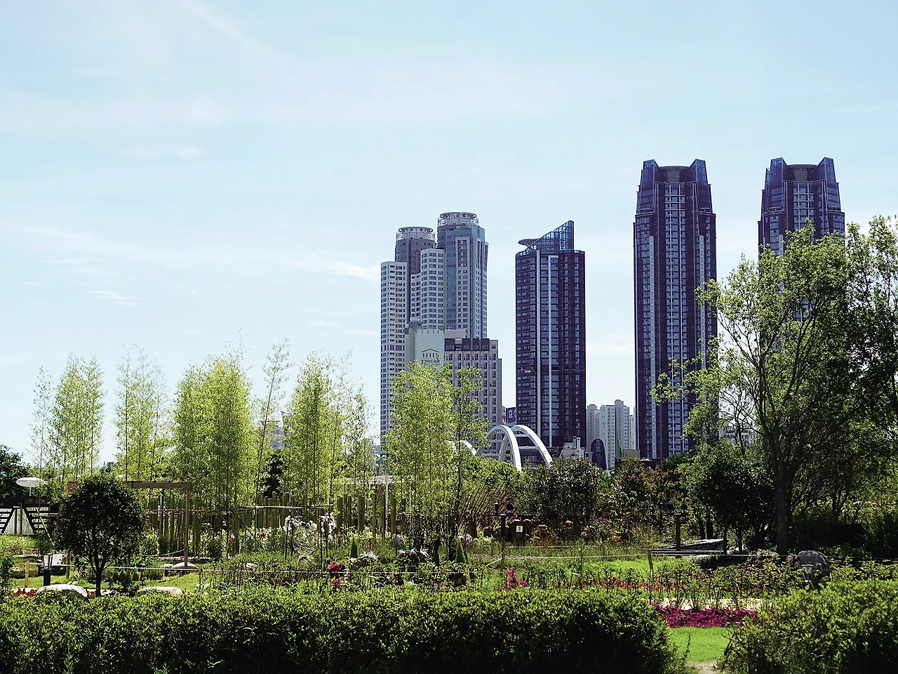 울산_태화강대공원 (1).JPG