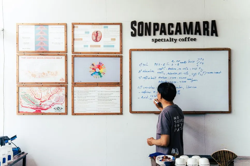 %EC%86%90_%ED%8C%8C%EC%B9%B4%EB%A7%88%EB%9D%BC_%EC%BB%A4%ED%94%BC_%ED%8C%9C_(5).jpg?type=w966