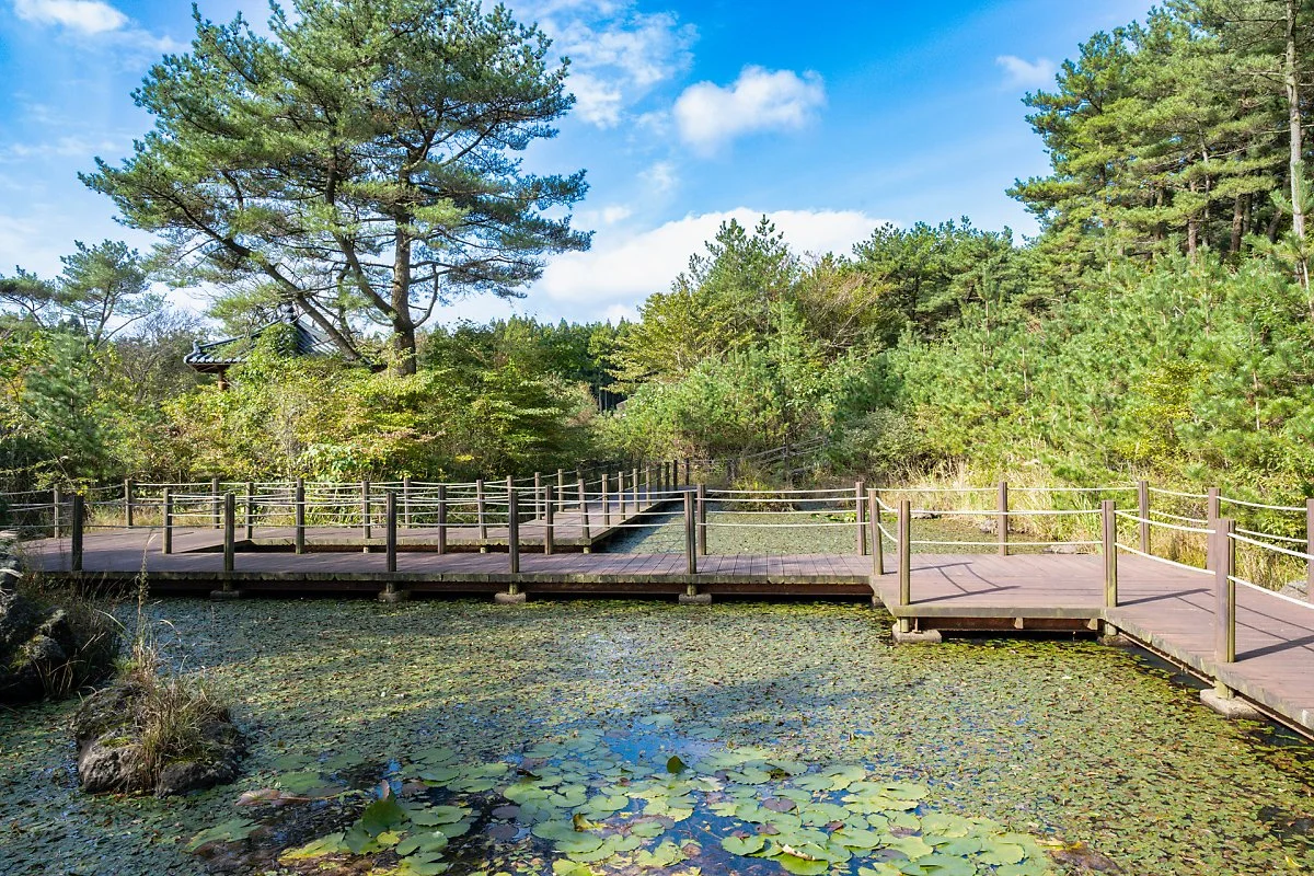 %ED%9C%B4%EC%96%91%EB%A6%BC_%EC%83%9D%ED%83%9C%EC%97%B0%EB%AA%BB.jpg?type=w1200