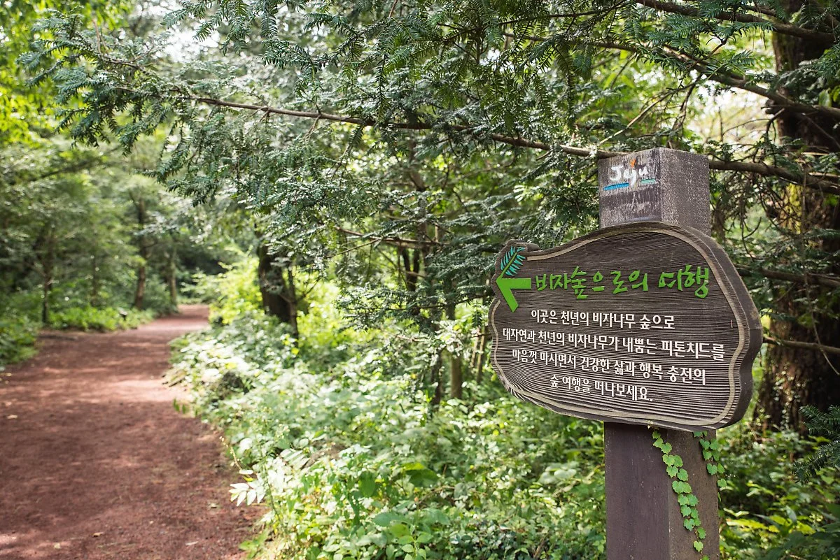 %EB%B9%84%EC%9E%90%EB%A6%BC_5.jpg?type=w1200