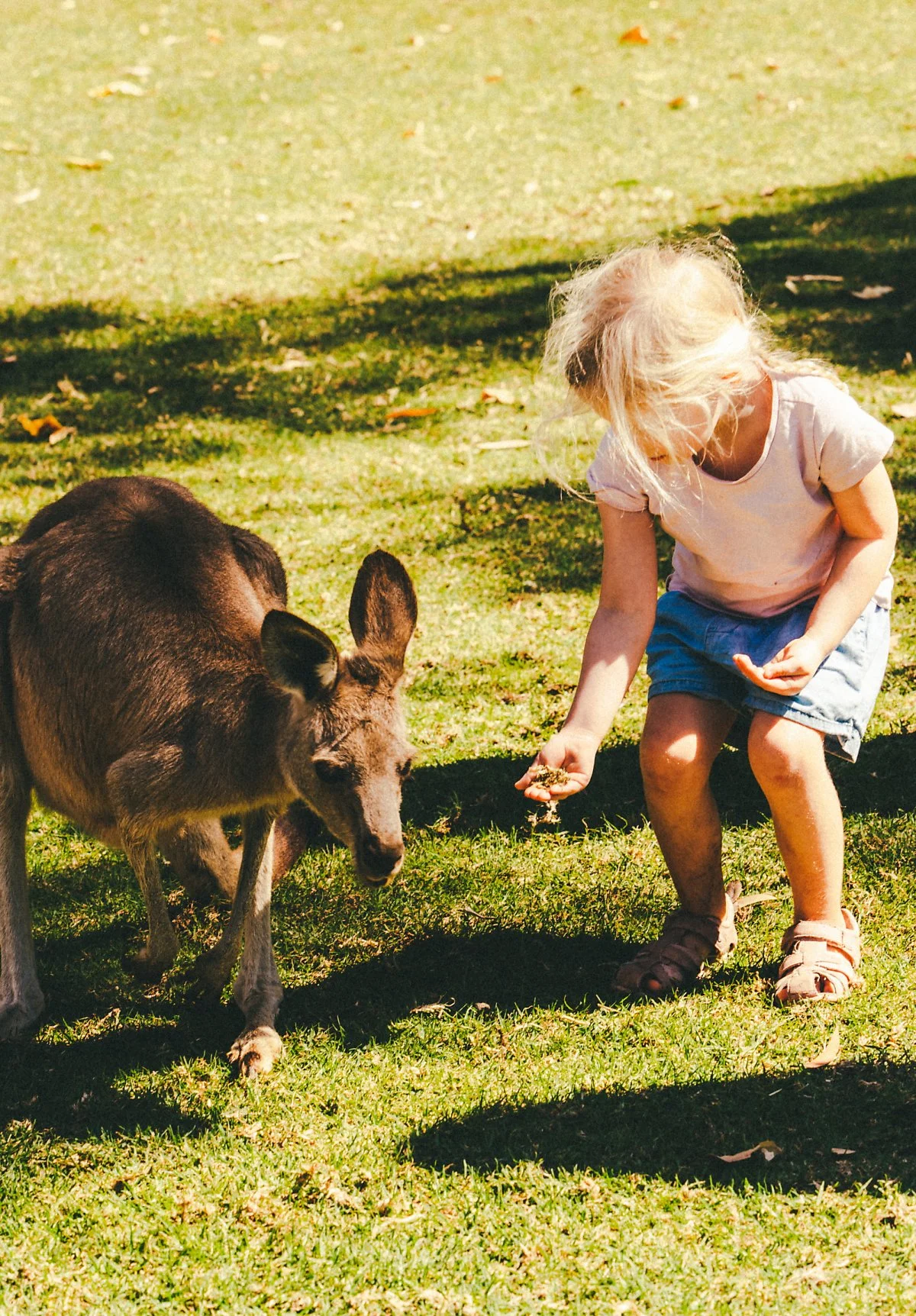 %EC%8B%AC%EB%B9%84%EC%98%A4_%EC%95%BC%EC%83%9D_%EA%B3%B5%EC%9B%90_%286%29.jpg?type=w1200