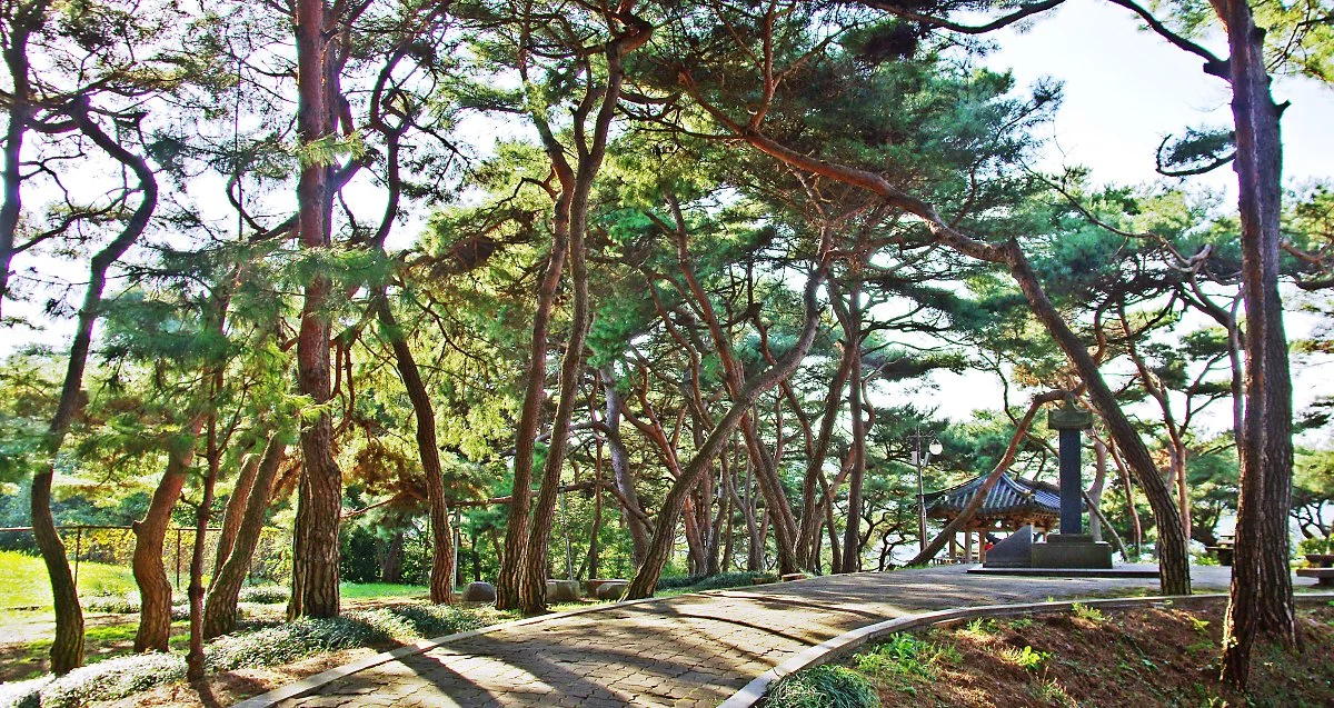 %ED%83%84%EA%B8%88%EB%8C%80_%EC%86%94%EC%88%B2._%EC%86%8C%EB%82%98%EB%AC%B4_%EC%88%B2%EA%B8%B8%EC%9D%84_%EB%94%B0%EB%9D%BC_%ED%83%84%EA%B8%88%EC%A0%95%EC%9C%BC%EB%A1%9C_%EA%B1%B7%EB%8A%94%EB%8B%A4..JPG?type=w1200