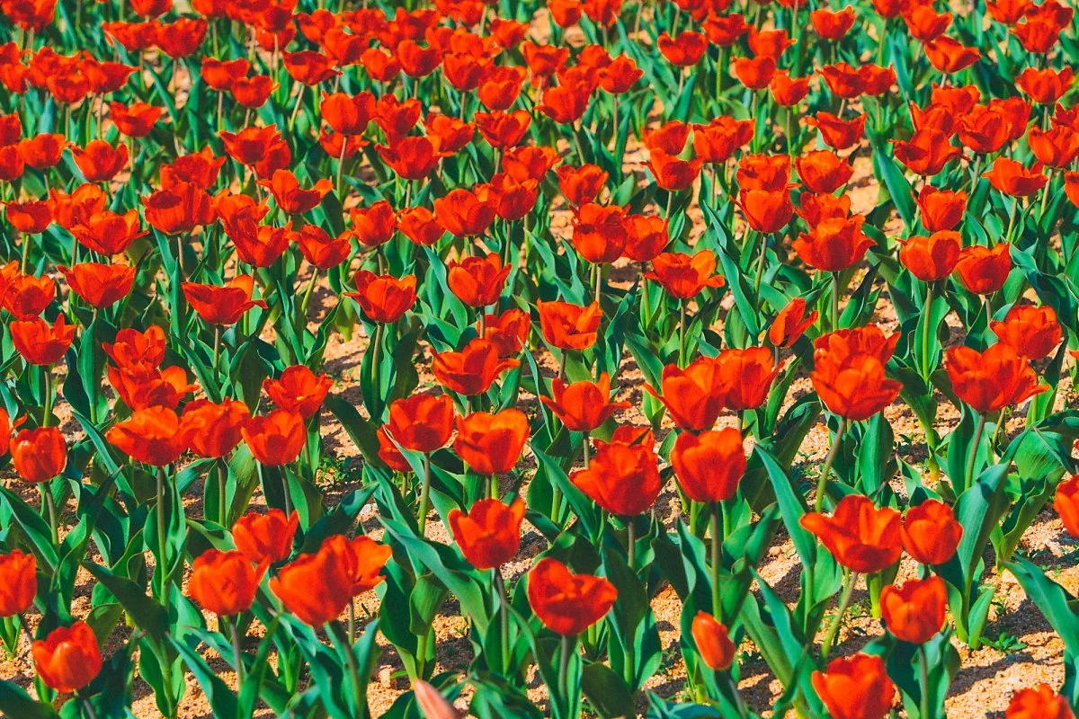 %EB%8C%80%EC%95%84%EC%88%98%EB%AA%A9%EC%9B%90_%2814%29.jpg?type=w1200