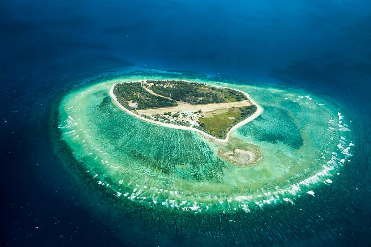 lady_elliot_island.jpg?type=w1200