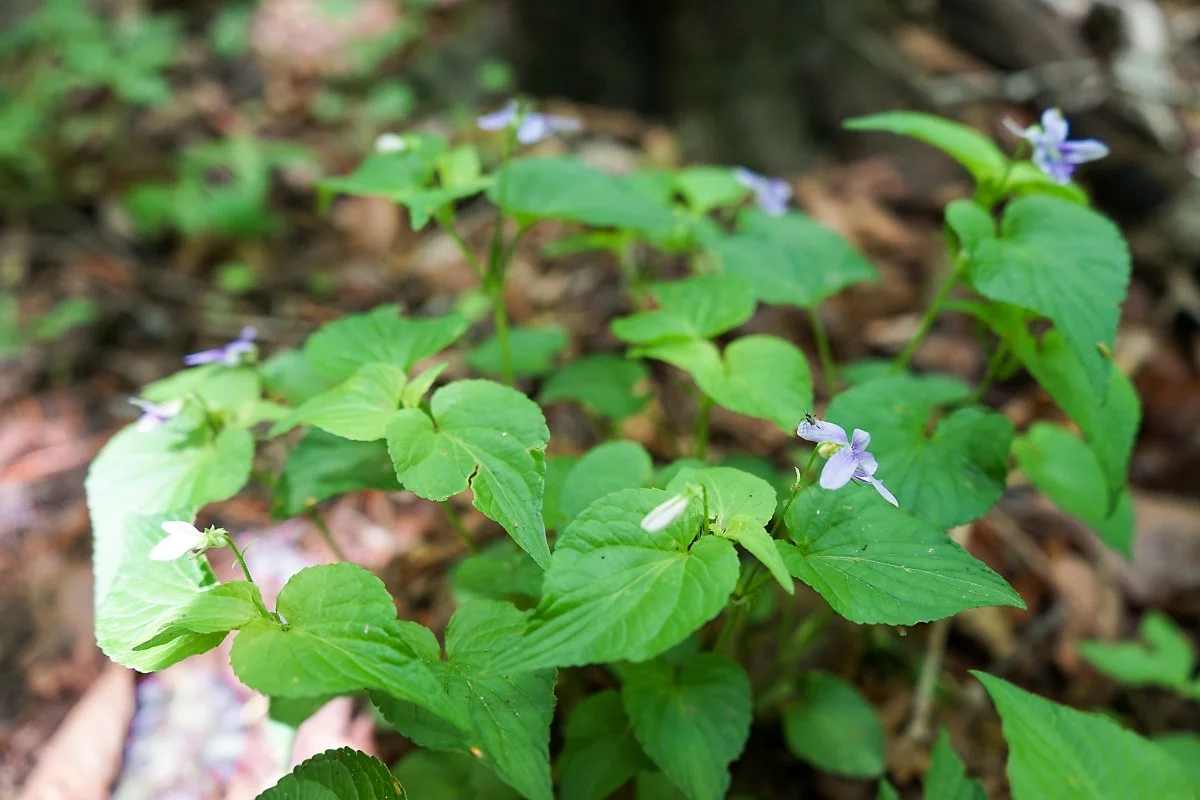 5._%EC%A1%B8%EB%B0%A9%EC%A0%9C%EB%B9%84%EA%BD%83_%282%29.JPG?type=w1200