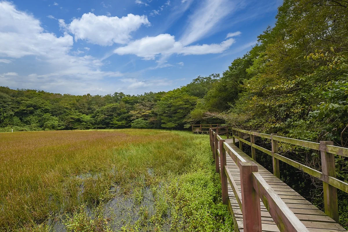 %EB%AC%BC%EC%98%81%EC%95%84%EB%A6%AC%EC%98%A4%EB%A6%84_%282%29.jpg?type=w1200