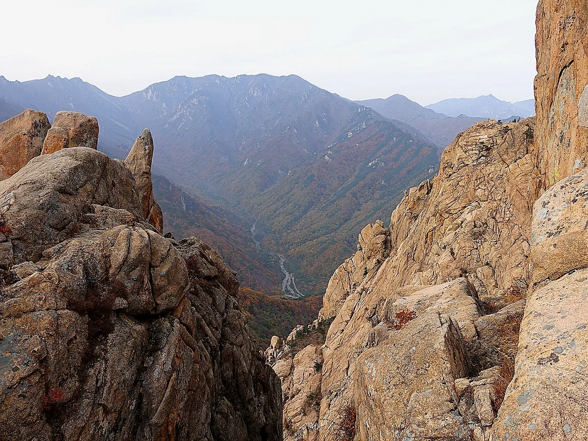 %EA%B6%8C%EA%B8%88%EC%84%B1%ED%92%8D%EA%B2%BD2.jpg?type=w1200