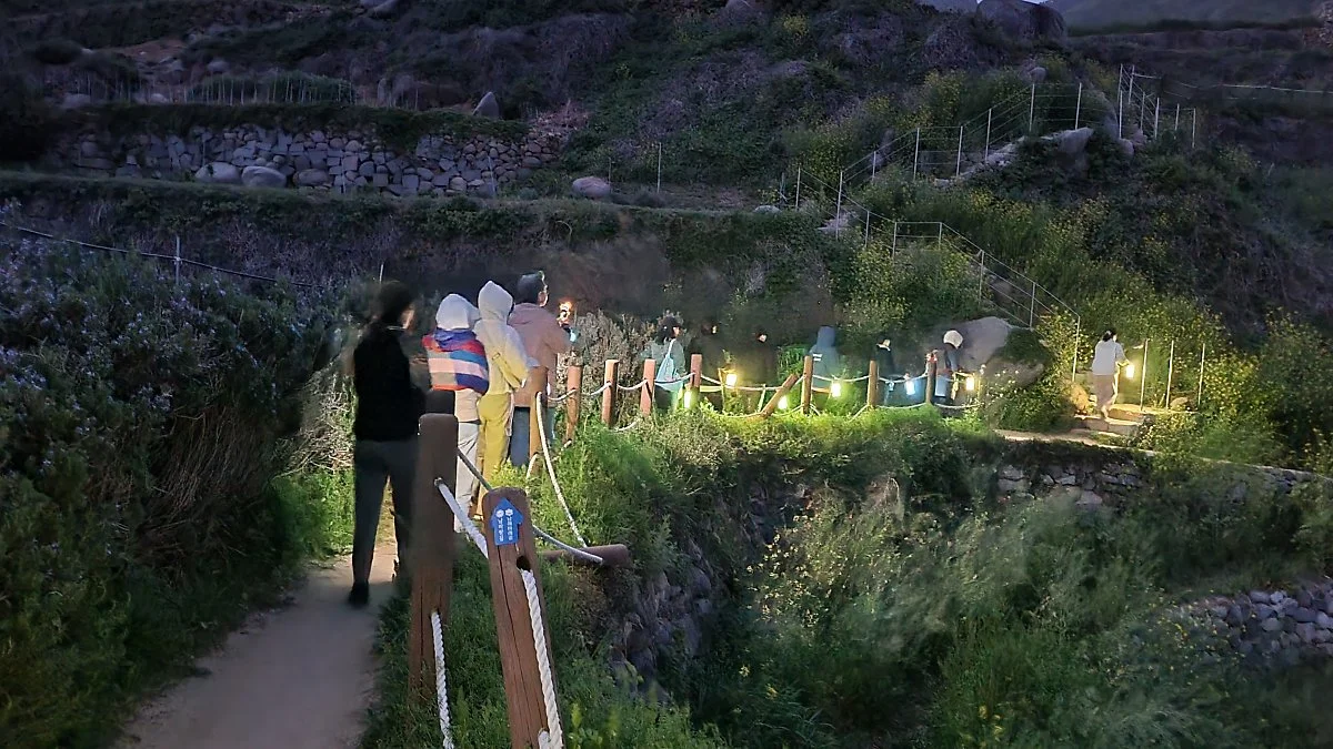 12%E2%92%B8%EB%B0%94%EB%B0%94%EA%B7%B8%EB%9D%BC%EC%9A%B4%EB%93%9C.jpeg?type=w1200