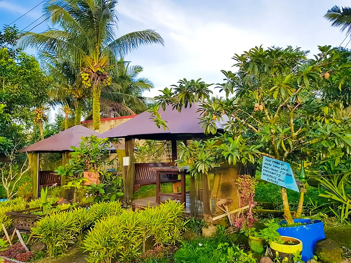 %EC%BD%94%EC%8A%A4%ED%83%80%EC%9D%BC%EC%A6%88_%EC%9E%90%EC%97%B0_%EB%86%8D%EC%9E%A5_1.jpg?type=w1200