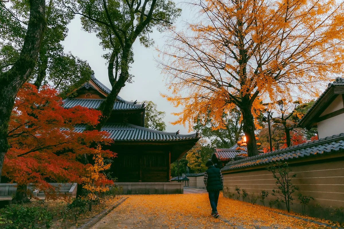 %ED%9B%84%EC%BF%A0%EC%98%A4%EC%B9%B4_Shofukuji_1.jpg?type=w1200